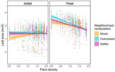 Experimental evidence of inbreeding depression for competitive ability and its population-level consequences in a mixed-mating plant